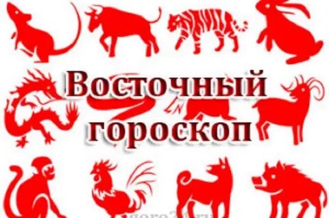 Как определить восточные года