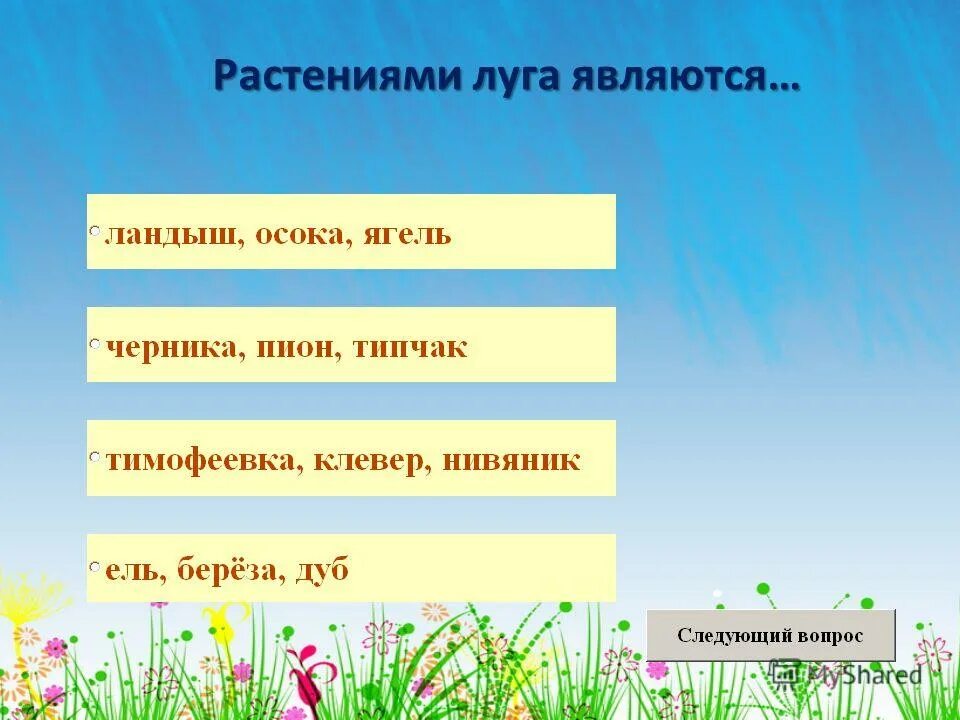 Почему лук является природным сообществом. Почему луг называют природным сообществом. Почему лук является природным сообществом. Почему лук является природным сообществом. Лук как природное сообщество картинки.