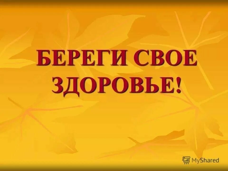 Беречь здоровье. Берегите своёздоровье. Береги здоровье смолоду. Беседа береги свое здоровье. Береги здоровье и оно.