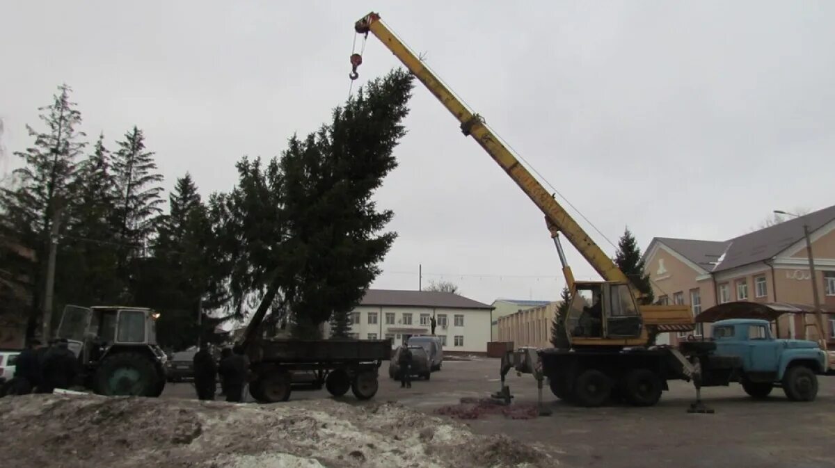 Главная елка Подгоренского района Воронежской области. В Нижнедевицке. Нижнедевицк администрация. Село Нижнедевицк глава администрации.