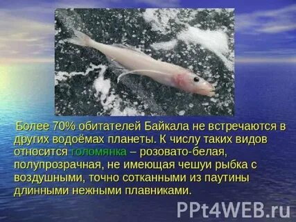 Называем особые черты озера байкал опишите самостоятельно