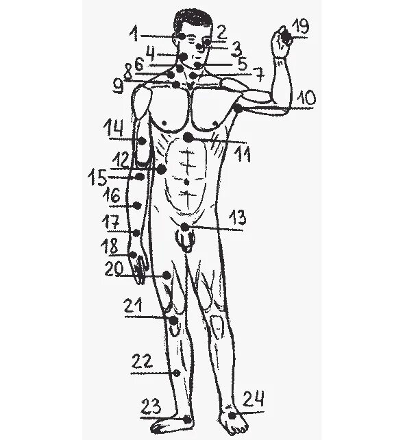 Упражнение 6 точка. Точки человека. Болевые точки на туловище. 6 Точка на теле человека. Где у человека точки.