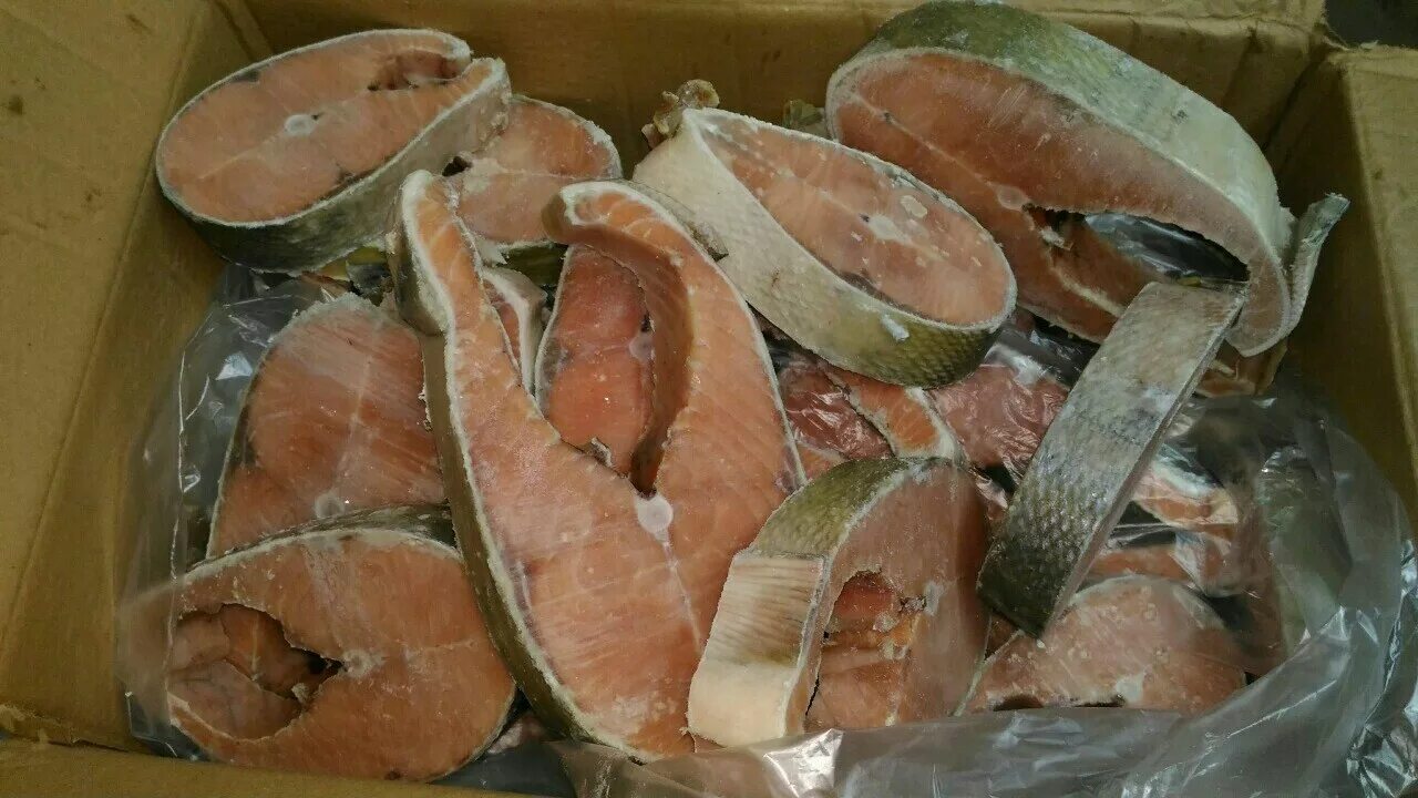 мясо кеты. мясо кеты рыба. кета рыба. кета мясо. рыба кета какое мясо.