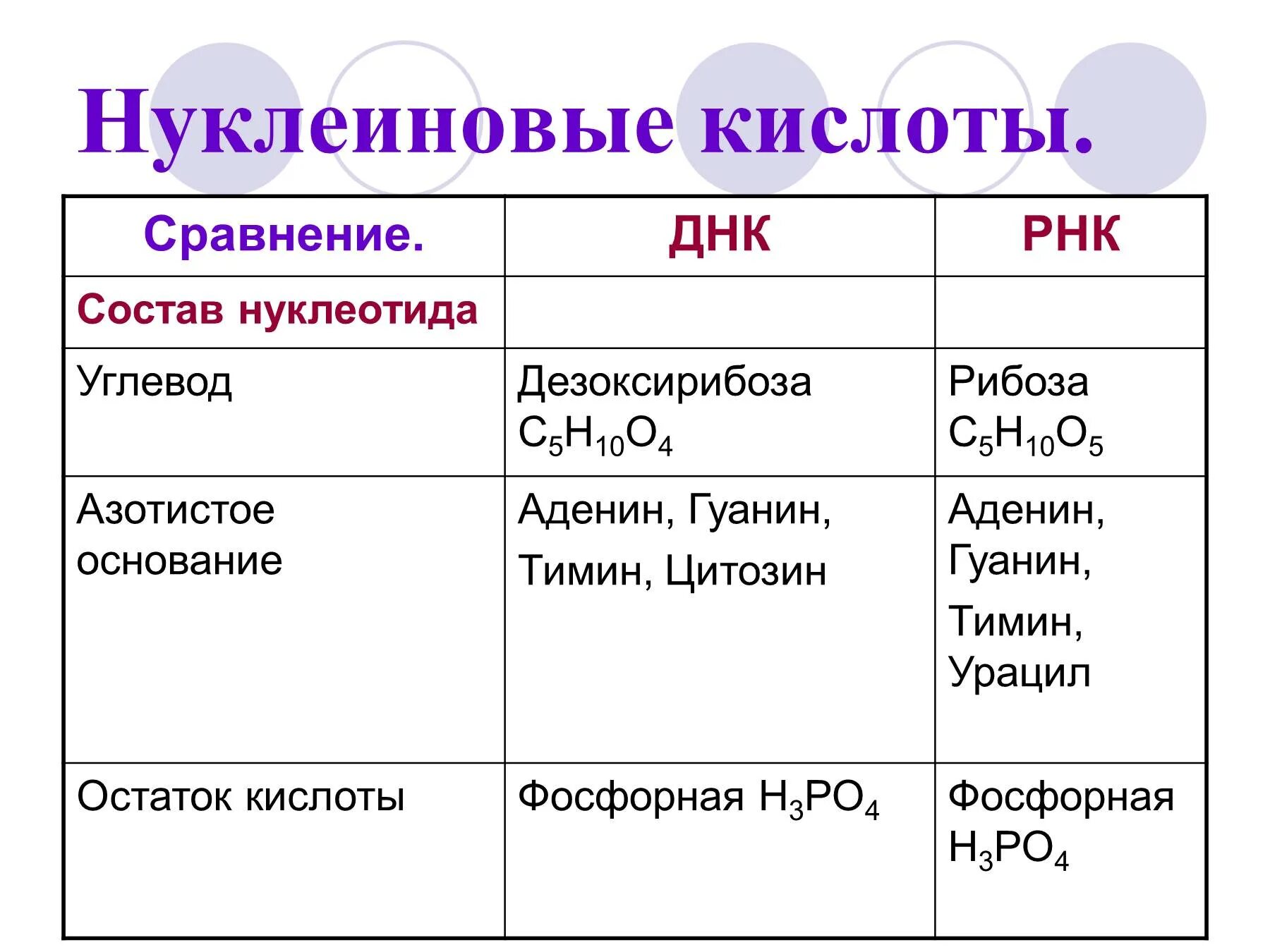 Состав нуклеиновых кислот формула. Нуклеиновые кислоты формула химическая. Нуклеиновые кислоты химия формула. Нуклеиновые кислоты презентация.