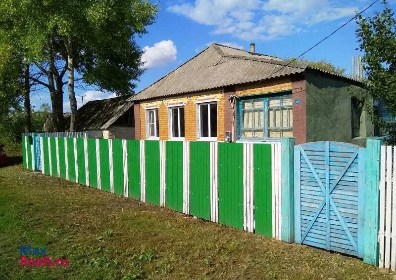 Село Курасовка Ивнянского района Белгородской области. Село Курасовка Ивнянский район. Алисовка Ивнянский район. Село Сырцево Ивнянский район Белгородская область. Погода в курасовке ивнянского