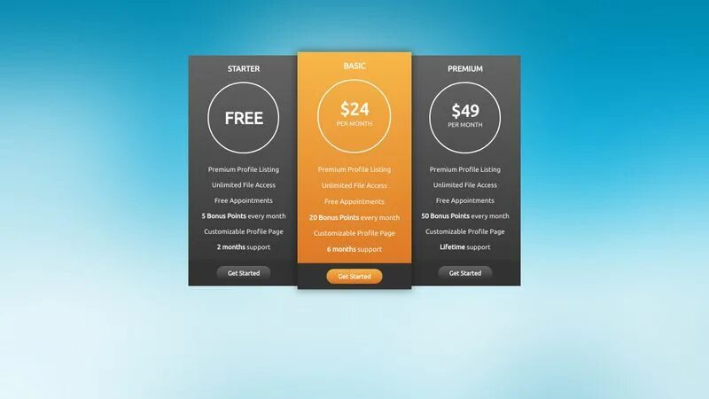 Go pricing 3