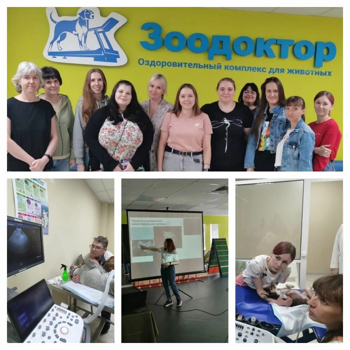 ЗооДоктор, ветеринарная клиника, улица Менделеева, 151, Уфа - 2ГИС