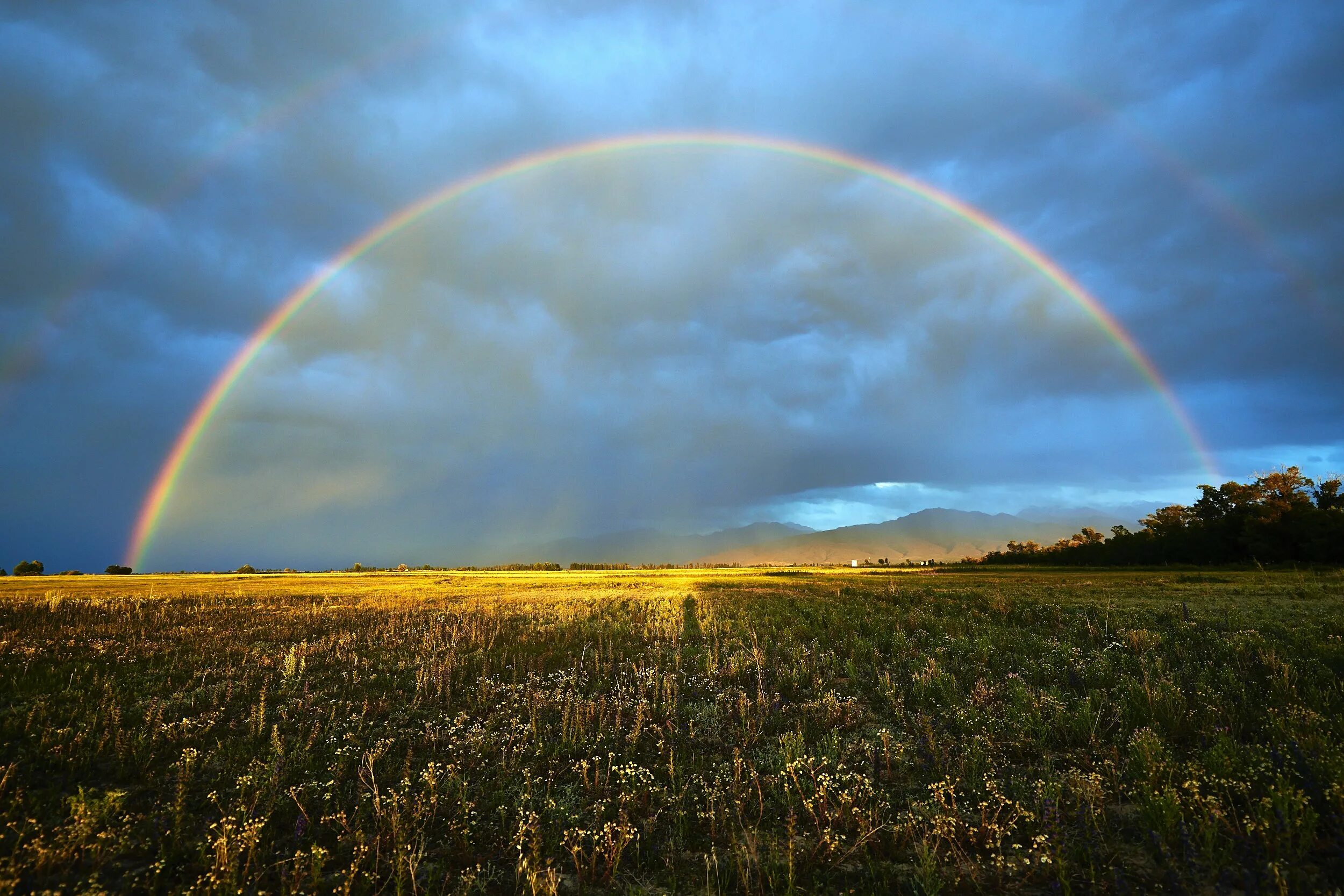 Радуга. Радуга настоящая. Дождь для радуги. Радуга кольцом в небе. Радуга над тулой.