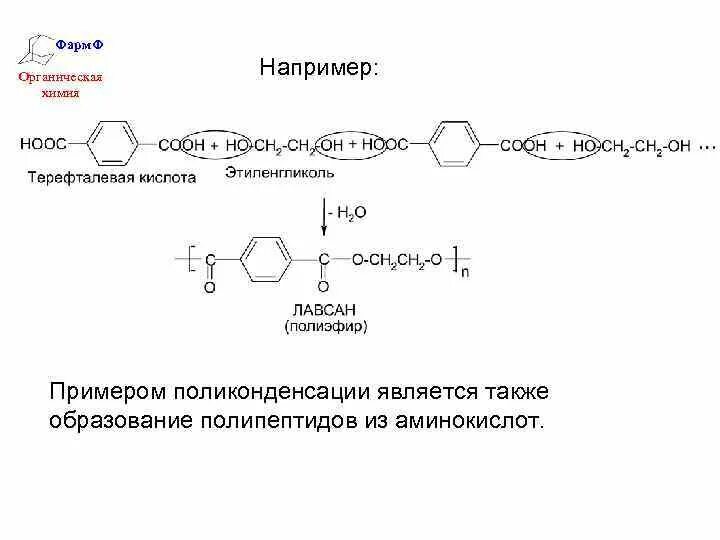 Терефталевая кислота поликонденсация. Реакция поликонденсации полимеров. Реакции поликонденсации в органической химии. Получение полимеров поликонденсация. Полипептиды образуются в результате поликонденсации