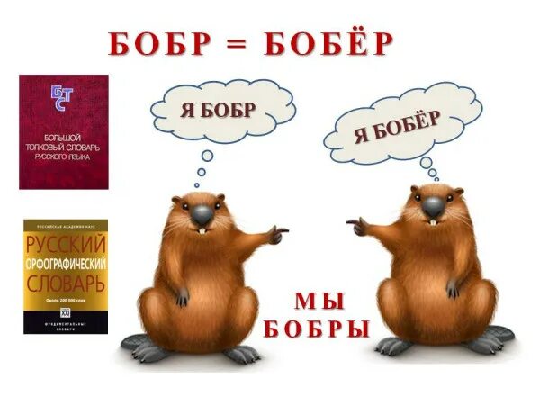 Чем отличается бобр от бобра. Бобр. Бобры бобер или Бобр. Бобр или бобёр как правильно. Различия Бобр и бобёр.