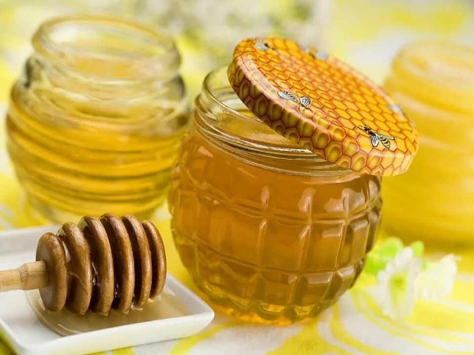 Купить хороший мед. Падевый мёд. Пчелы падевый мед. Соты меда. Мёд и продукты пчеловодства.