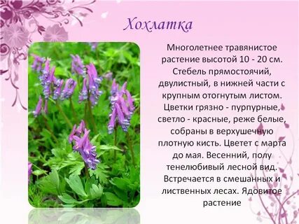 Фо описание