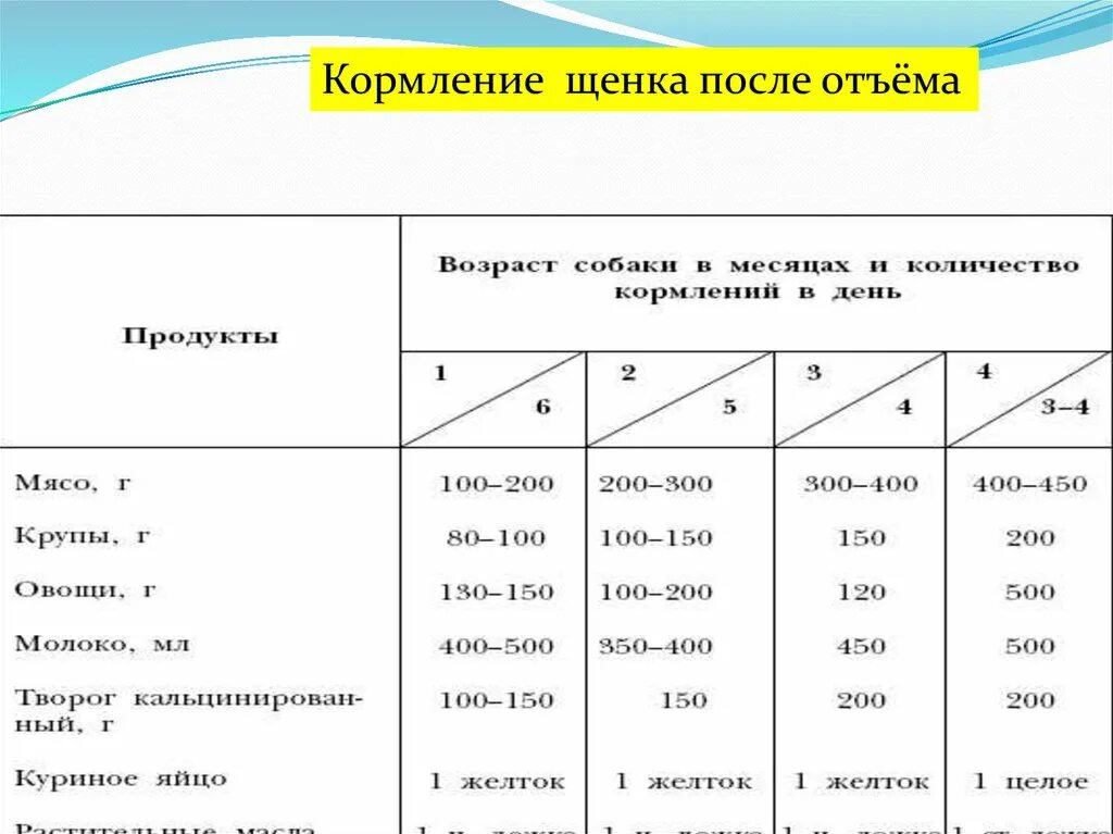 Сколько кормить щенка 5 месяцев. График кормления щенка 2 месяца. График кормления щенка 1 месяц. Кормление 1 месячного щенка. Таблица кормления щенка немецкой овчарки.