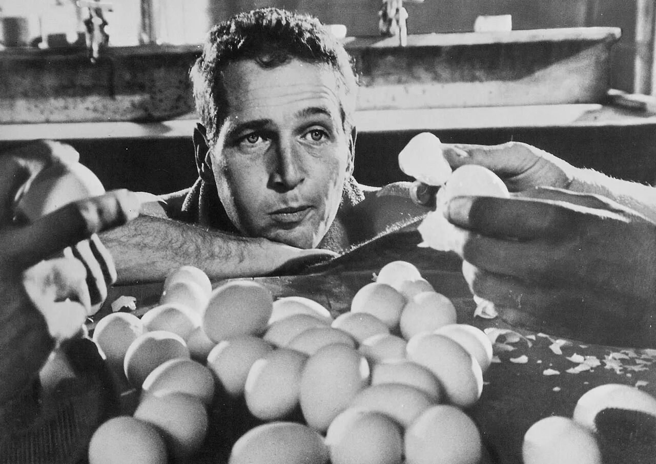 Холодный люк. Пол Ньюман хладнокровный люк. Paul Newman cool hand Luke. Хладнокровный люк яйца.