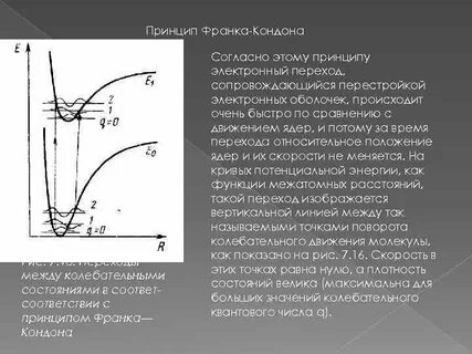 Принцип франка кондона