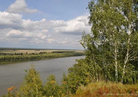 Погода омск саргатка