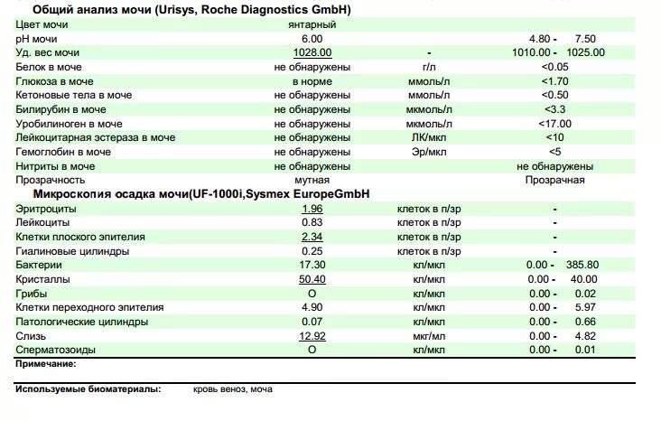Почему повышены эритроциты в моче. Норма лейкоцитов в моче в 1 мл. Показатели лейкоцитов в моче норма. Показатели эритроцитов в моче норма. Анализ мочи норма лейкоцитов эритроцитов в 1 мл.