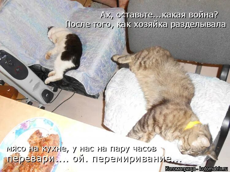 Ты мне не интересен. Картинки чтобы не было скучно. Смешные картинки про скуку. Совсем не скучно. Студенты на парах.