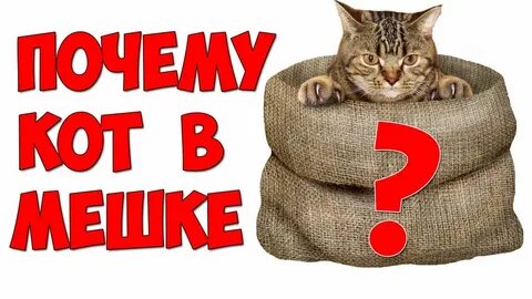Кот в мешке хмелевская