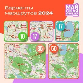 День прогулки 2024