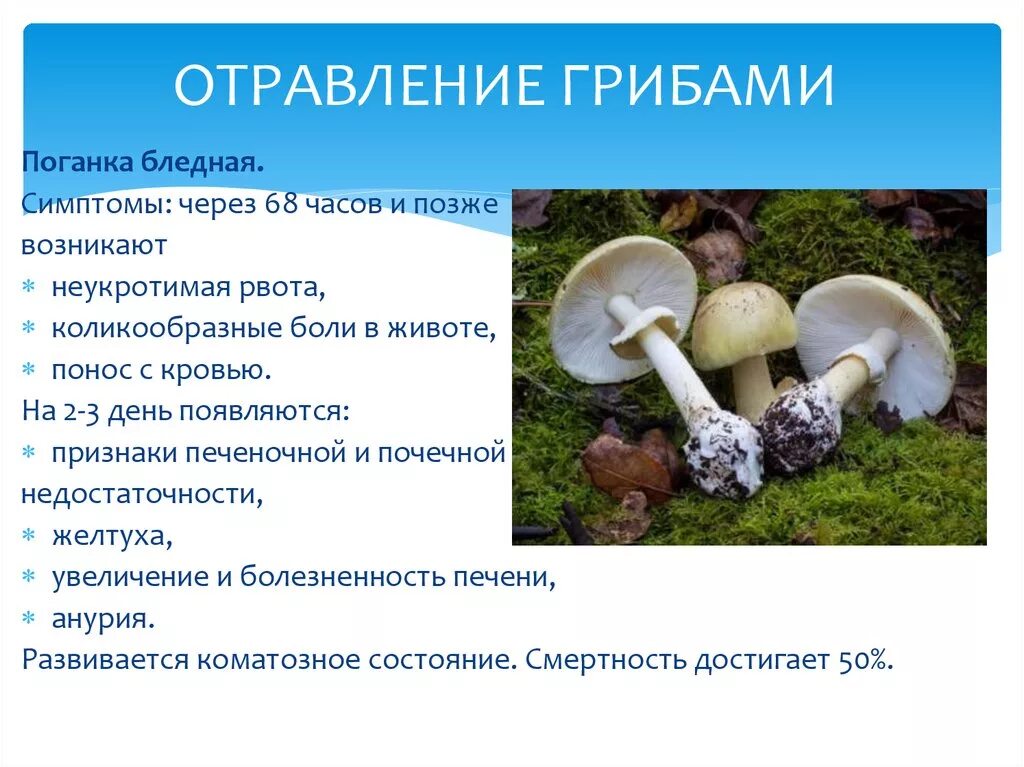 Симптомы и признаки грибов. Отравление грибами симптомы. Отравление грибами презентация. Отравление грибами с желтухой. Отравление грибами осложнения.