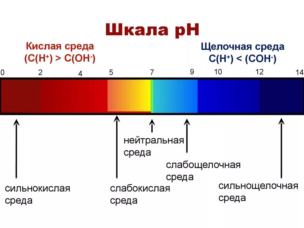 Кислую реакцию среды имеют