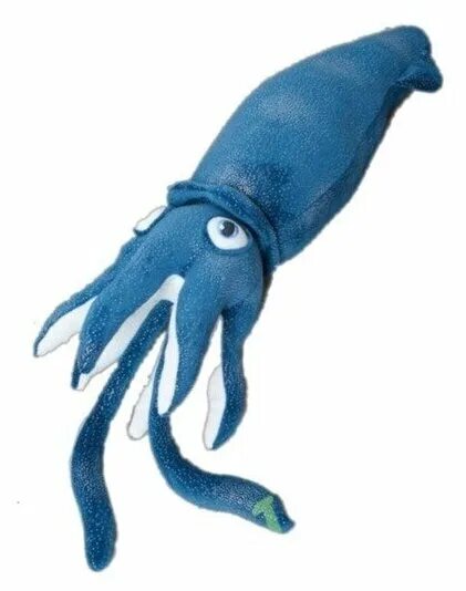 Головоногие моллюски каракатица. Глубоководный кальмар чудесная лампа. Синий кальмар. Кальмар плюшевая игрушка. Тихоокеанский осьминог.