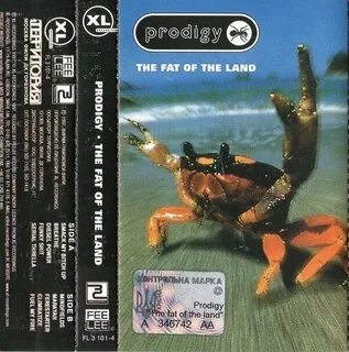 Prodigy the fat of the land