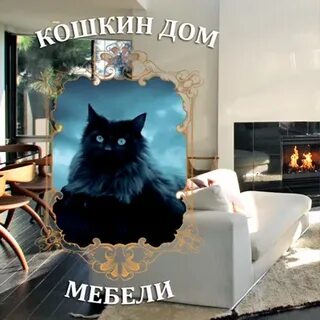 Фамилия кошкин