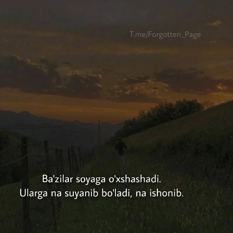 Forgotten page. Цитаты про закат. Can we pretend that night sky. Меланхолия высказывания. Can we pretend that.