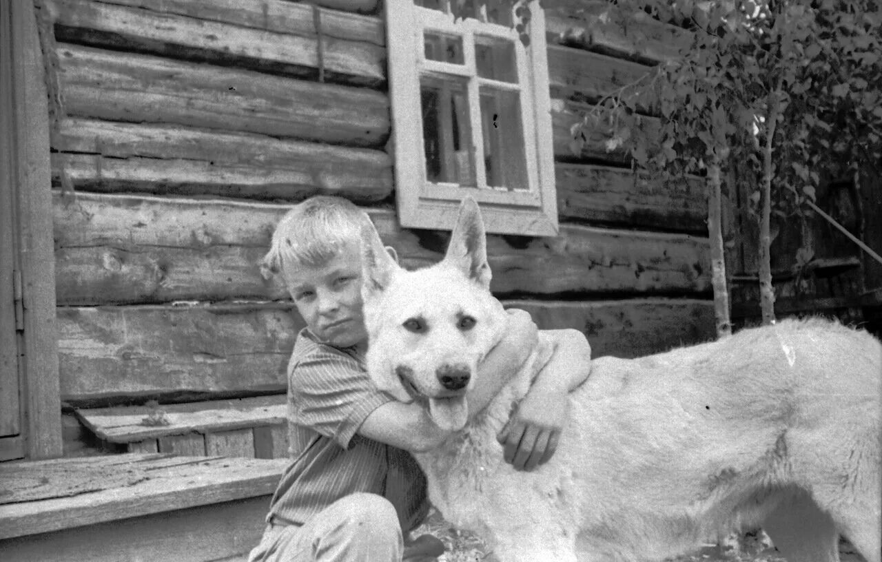 Она воспитанная девочка с глубинки. Собака в деревне. Советское детство в деревне. Мальчик с собакой. Советские дети с животными.