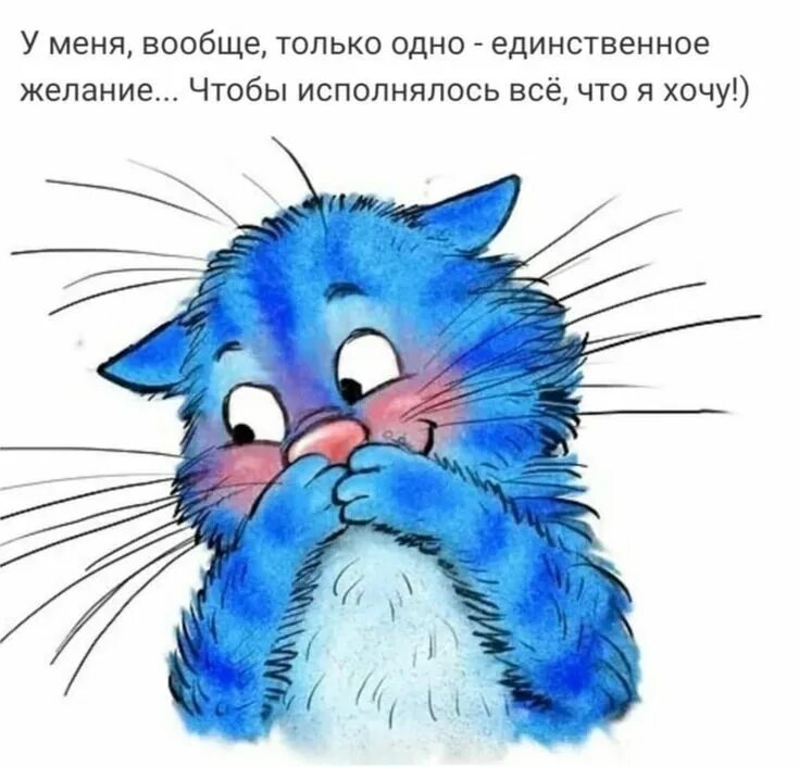 синий кот в реальной жизни. кот с голубой шерстью. покажи синего котика. синий британец котенок. покажи синего котика.