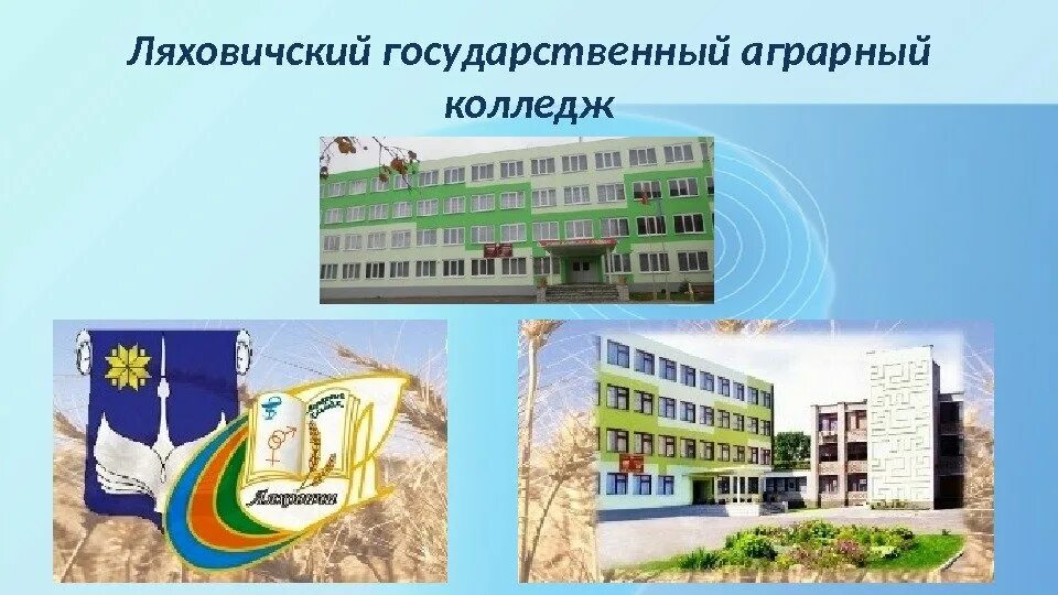 Губернаторский аграрный колледж детчино. Ильянский район. Оршанский аграрный колледж смольяны зимние каникулы. Томский аграрный колледж (так). Столинский аграрно-экономический колледж группа.