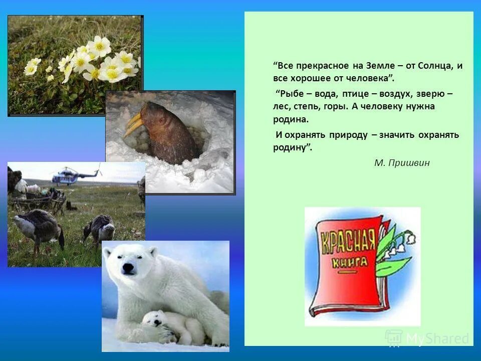 Рыбе вода птице воздух зверю лес степь горы а человеку нужна Родина. Рыбам — вода, птицам — воздух, а человеку — вся земля.. Рыбам вода птицам воздух а человеку. Воздух нужен животным. Рыбам нужен воздух