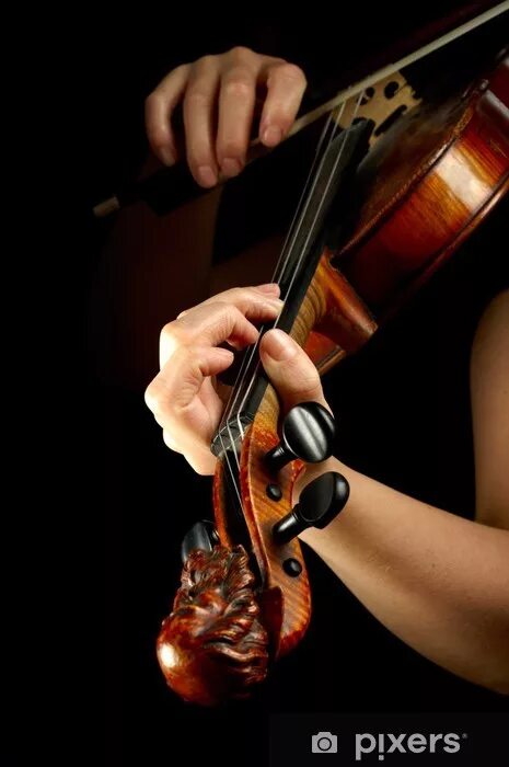 Фрагмент скрипки. Руки скрипача. Скрипка в руках. The musician Plays the Violin.