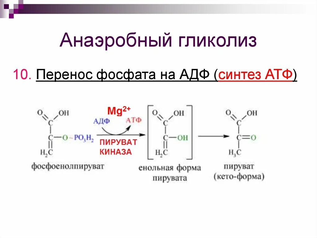 В гликолизе синтезируется атф. Анаэробный гликолиз схема. Схема схема анаэробного гликолиза. Аэробный гликолиз. Схема гликолиза биохимия.