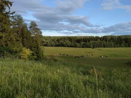 Республика марий эл природа