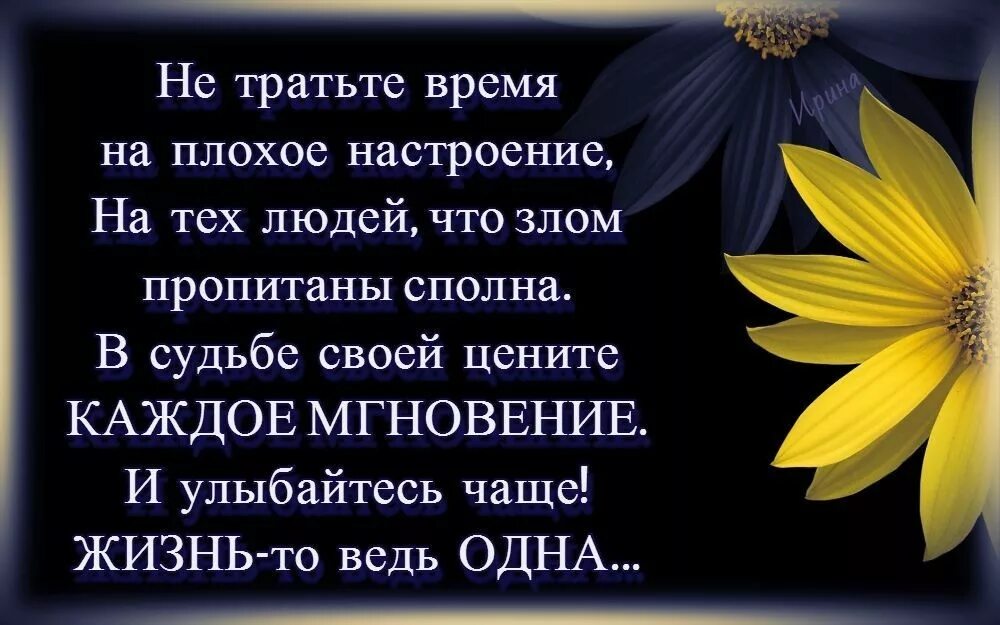 Цените жизнь стихи. Цените каждое мгновение жизни. грустное настроение цитаты. не тратьте время на плохое настроение на злых людей. стихи о плохом настроении души.