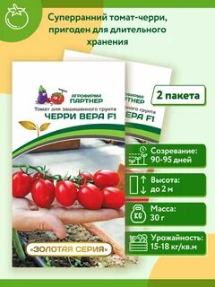 Томат веры отзывы