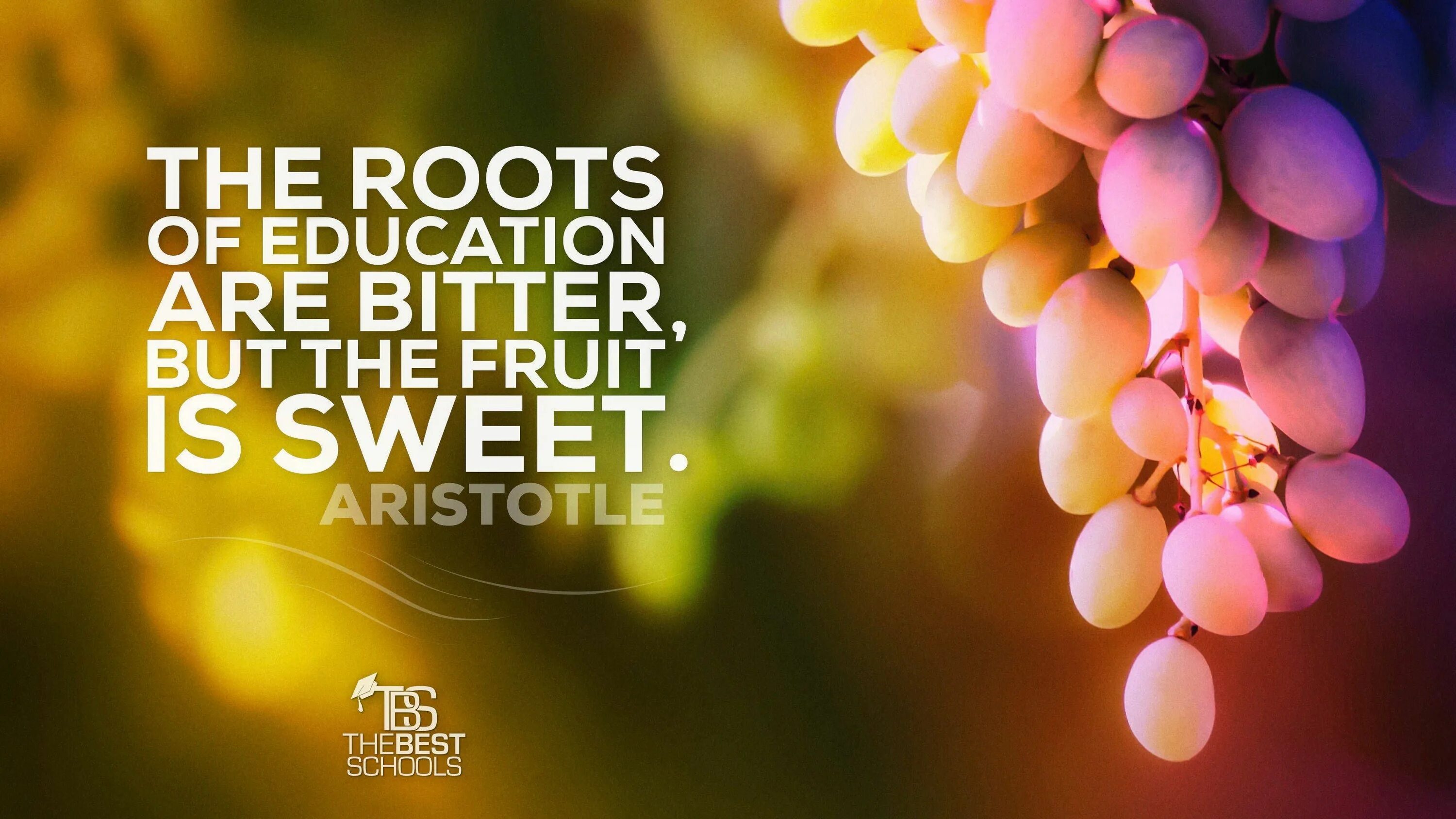 The fruits are together перевод. The roots of Education are Bitter but the Fruit is Sweet. The roots of Education are. The roots of Education are Bitter but the Fruit is Sweet meaning. «Education is the most powerful Weapon you can use to change the World»,-BB King.