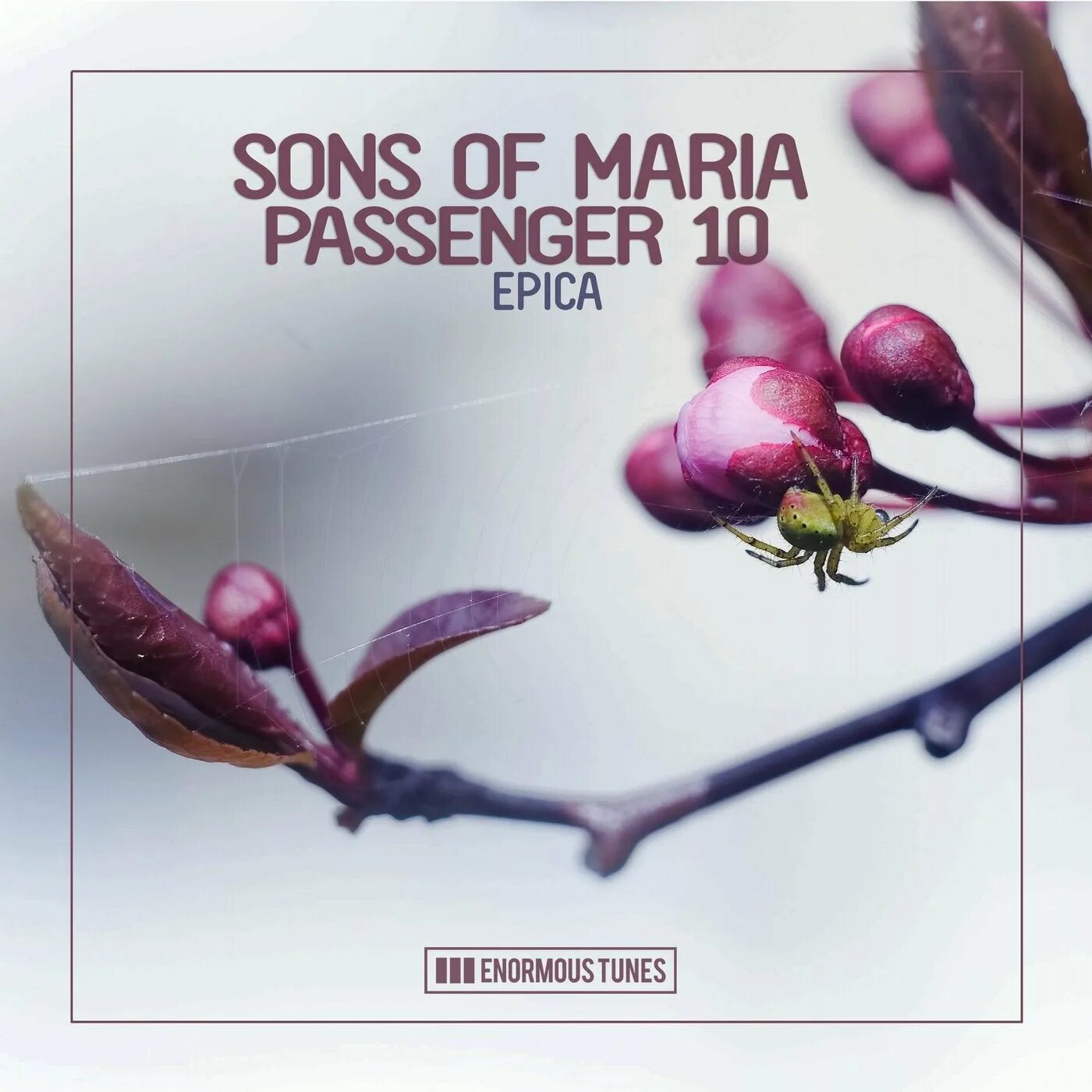 Passenger 10. "Sons of Maria" && ( исполнитель | группа | музыка | Music | Band | artist ) && (фото | photo). Sons of Maria певица.