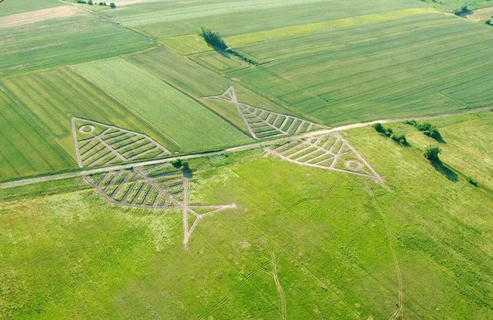 Граница между полями. Граница между польшей и украиной. граница между государствами. самые необычные границы между государствами. как выглядят границы между странами.