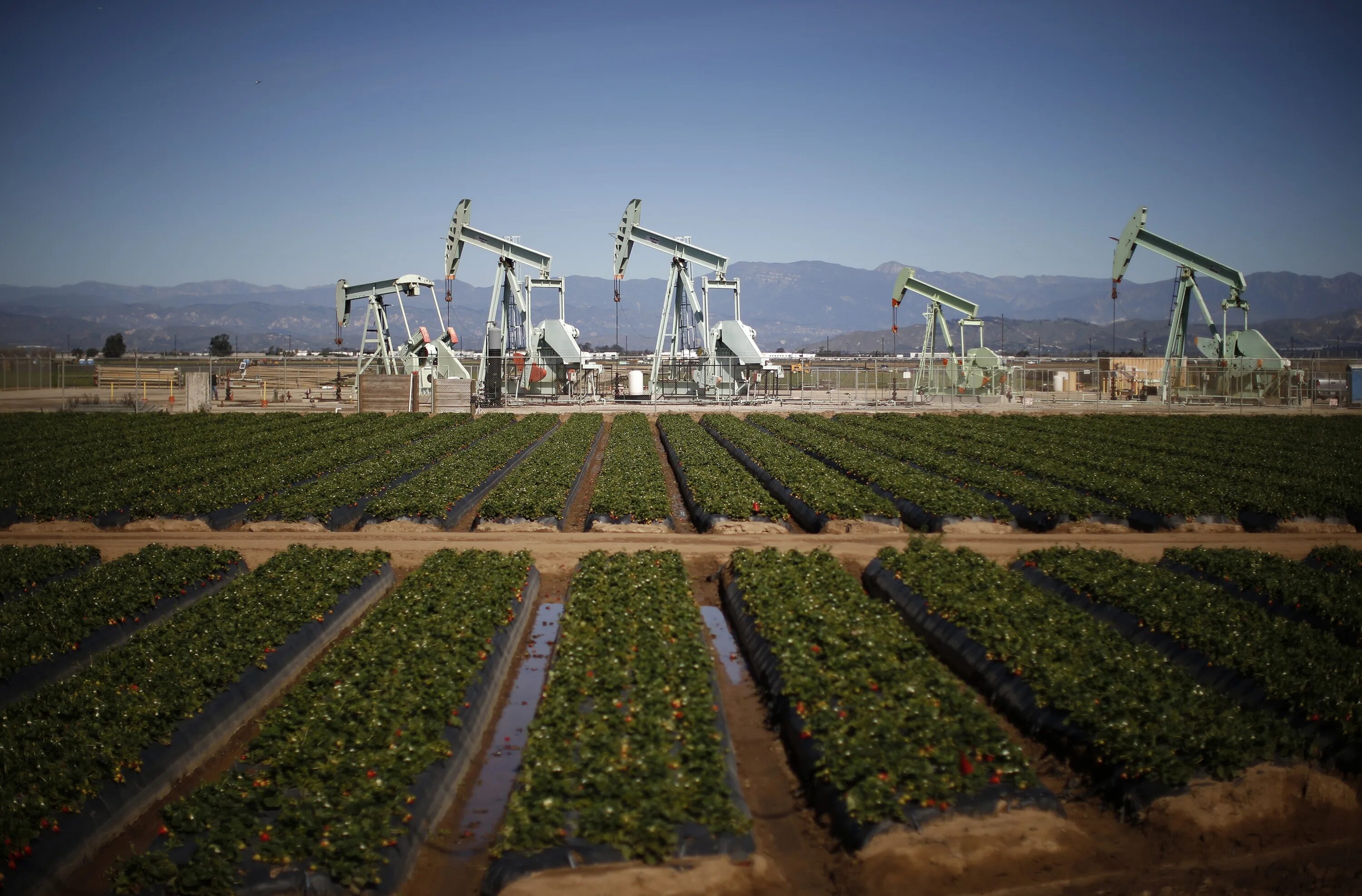 Калифорния сельское хозяйство. Хозяйство Саудовской Аравии. Лос Анджелес добыча нефти. Саудовская Аравия сельскохозяйство.