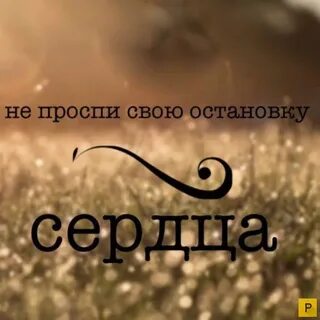 Немного мотив