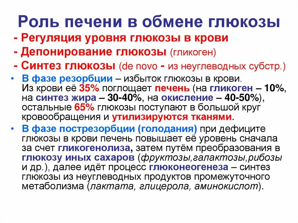 Регуляция печени в обмене Глюкозы. Участие печени в обмене Глюкозы. Регуляция содержания Глюкозы в печени.