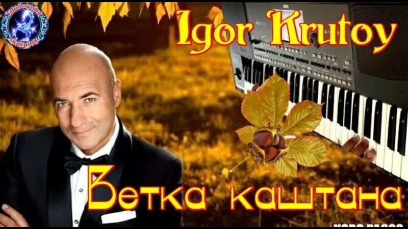 Ветка каштана. Каштан дерево в приморском крае. Ветка каштана фото. Цветы конского каштана. Ветка каштана фото.