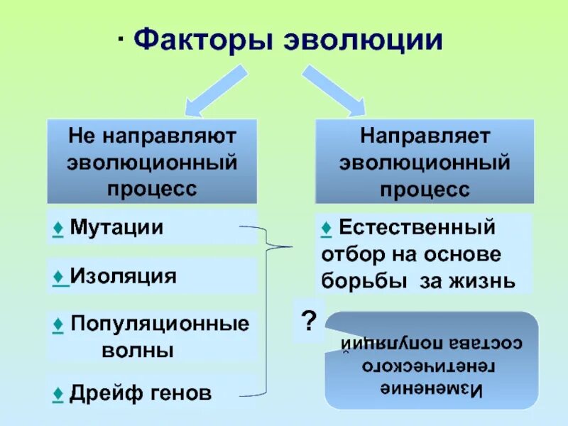 Изменчивость организмов примеры. Отбор мутации. Классическая селекция. Отбор мутации. Селекционные мутации.
