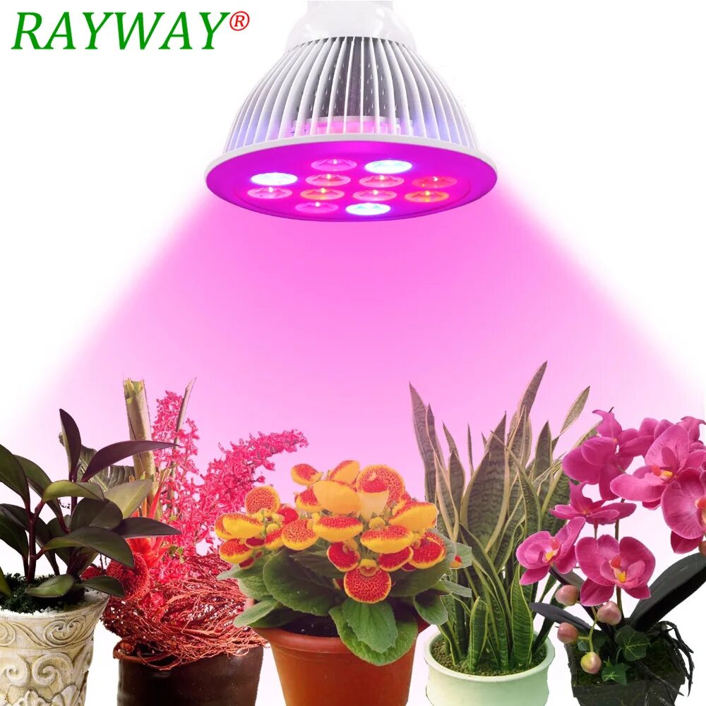 Светильник для фитолампы. Фитолампа Plant Light 600. Фитолампа e27 360. Фитолампа Гелиос-36. Фитолампа Весна-10, 4w/e27.