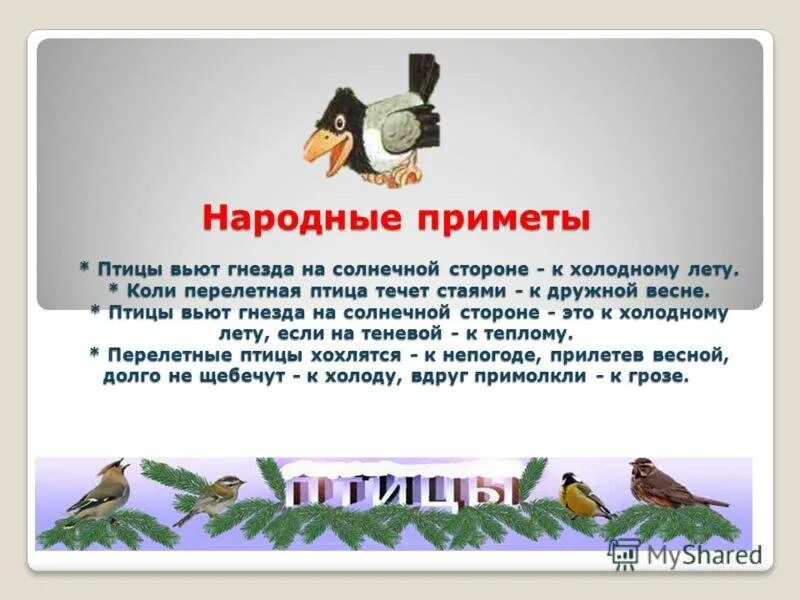 Приметы про птиц. Народные приметы связанные с птицами. Суеверия про птиц. Хорошие приметы с птицами. Что означает птица в доме