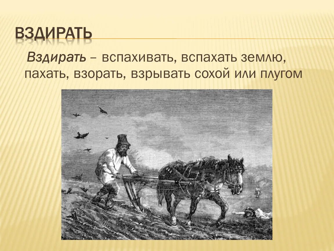 Пахать сохой землю. Крестьянин пашет землю сохой. Пахарь с сохой. Крестьянин с сохой. Песня пахаря